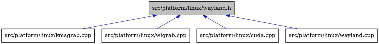 digraph {
    graph [bgcolor="#00000000"]
    node [shape=rectangle style=filled fillcolor="#FFFFFF" font=Helvetica padding=2]
    edge [color="#1414CE"]
    "3" [label="src/platform/linux/kmsgrab.cpp" tooltip="src/platform/linux/kmsgrab.cpp"]
    "1" [label="src/platform/linux/wayland.h" tooltip="src/platform/linux/wayland.h" fillcolor="#BFBFBF"]
    "5" [label="src/platform/linux/wlgrab.cpp" tooltip="src/platform/linux/wlgrab.cpp"]
    "2" [label="src/platform/linux/cuda.cpp" tooltip="src/platform/linux/cuda.cpp"]
    "4" [label="src/platform/linux/wayland.cpp" tooltip="src/platform/linux/wayland.cpp"]
    "1" -> "2" [dir=back tooltip="include"]
    "1" -> "3" [dir=back tooltip="include"]
    "1" -> "4" [dir=back tooltip="include"]
    "1" -> "5" [dir=back tooltip="include"]
}