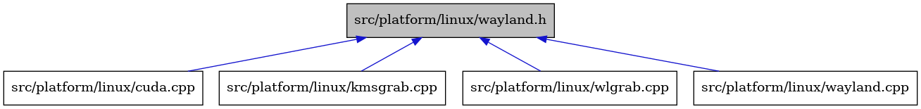 digraph {
    graph [bgcolor="#00000000"]
    node [shape=rectangle style=filled fillcolor="#FFFFFF" font=Helvetica padding=2]
    edge [color="#1414CE"]
    "2" [label="src/platform/linux/cuda.cpp" tooltip="src/platform/linux/cuda.cpp"]
    "3" [label="src/platform/linux/kmsgrab.cpp" tooltip="src/platform/linux/kmsgrab.cpp"]
    "1" [label="src/platform/linux/wayland.h" tooltip="src/platform/linux/wayland.h" fillcolor="#BFBFBF"]
    "5" [label="src/platform/linux/wlgrab.cpp" tooltip="src/platform/linux/wlgrab.cpp"]
    "4" [label="src/platform/linux/wayland.cpp" tooltip="src/platform/linux/wayland.cpp"]
    "1" -> "2" [dir=back tooltip="include"]
    "1" -> "3" [dir=back tooltip="include"]
    "1" -> "4" [dir=back tooltip="include"]
    "1" -> "5" [dir=back tooltip="include"]
}