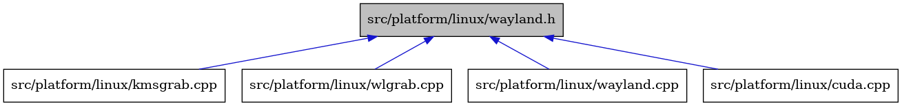 digraph {
    graph [bgcolor="#00000000"]
    node [shape=rectangle style=filled fillcolor="#FFFFFF" font=Helvetica padding=2]
    edge [color="#1414CE"]
    "1" [label="src/platform/linux/wayland.h" tooltip="src/platform/linux/wayland.h" fillcolor="#BFBFBF"]
    "3" [label="src/platform/linux/kmsgrab.cpp" tooltip="src/platform/linux/kmsgrab.cpp"]
    "5" [label="src/platform/linux/wlgrab.cpp" tooltip="src/platform/linux/wlgrab.cpp"]
    "4" [label="src/platform/linux/wayland.cpp" tooltip="src/platform/linux/wayland.cpp"]
    "2" [label="src/platform/linux/cuda.cpp" tooltip="src/platform/linux/cuda.cpp"]
    "1" -> "2" [dir=back tooltip="include"]
    "1" -> "3" [dir=back tooltip="include"]
    "1" -> "4" [dir=back tooltip="include"]
    "1" -> "5" [dir=back tooltip="include"]
}